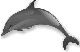 images_043